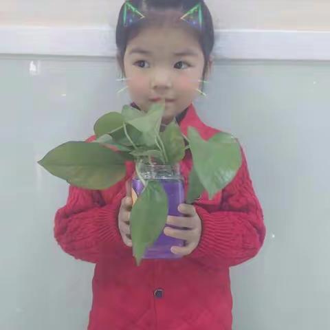 舞美幼儿园中二班祝诗瑶2018-2019年度第二学期个人成长记录