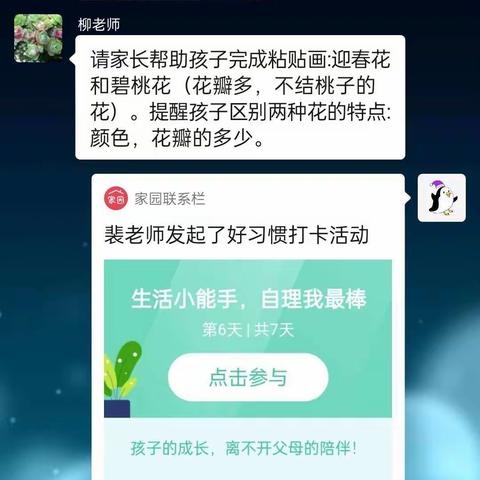 ＂停课不停学，成长不停歇＂第四期（小班组）