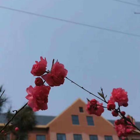 我劳动  我光荣