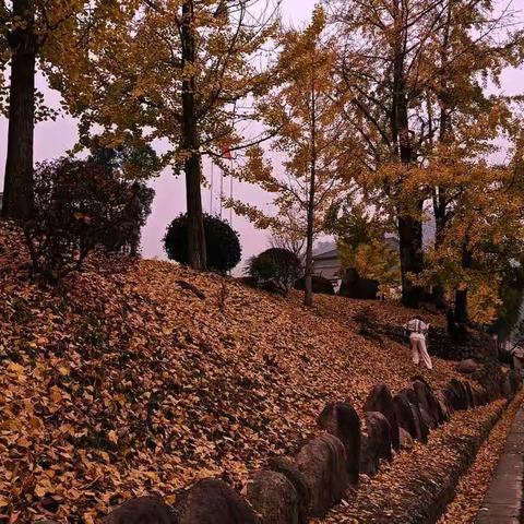 荒山一黍的美篇