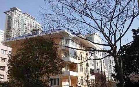 此消彼长（62）