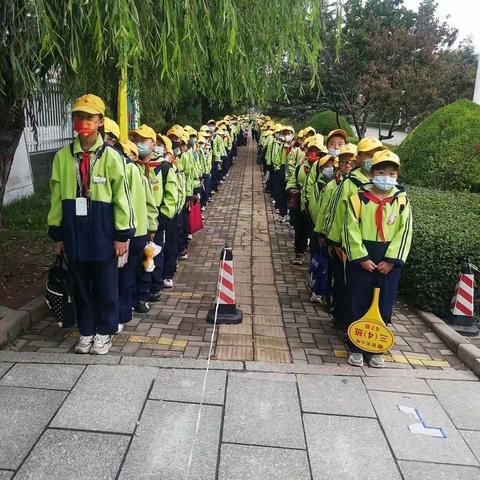 西关小学10月18日工作动态