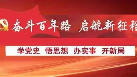 砥砺初心使命·汲取奋进力量 双鸭山银保监分局走好“四部曲” 扎实开展党史学习教育