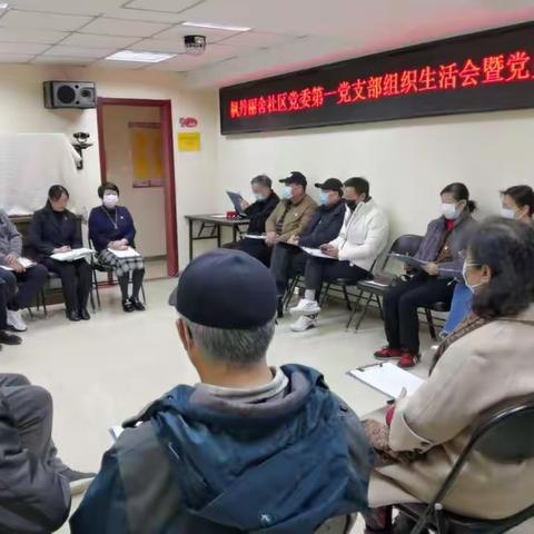 枫丹丽舍社区党委二级支部召开组织生活会暨党员民主评议会