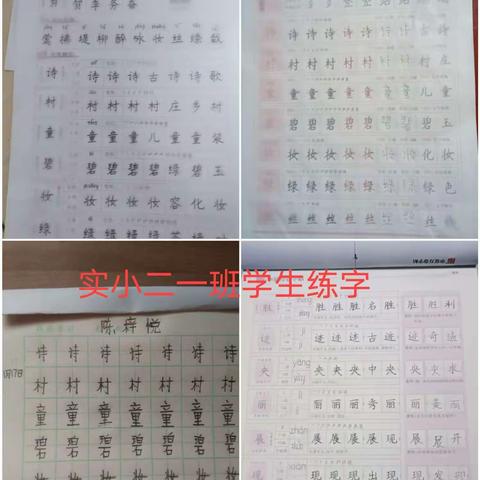 开发区达驰实验小学二年级寒假读书写字活动