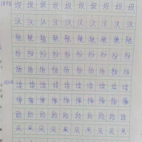 开发区达驰实验小学三年级寒假读书写字活动