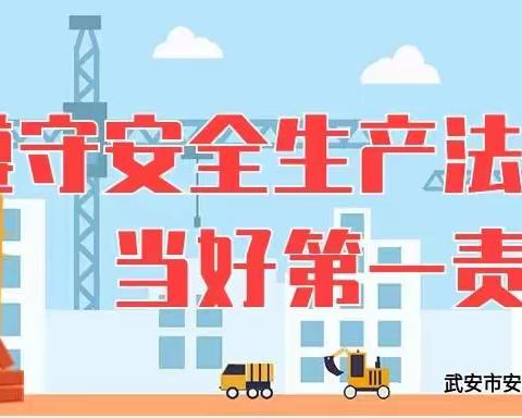 武安市安委办对各乡镇2022年安全宣传咨询日活动开展专项督导检查