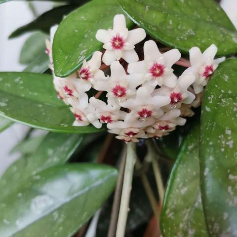 岁月         诗朗诵，朗诵者：向阳花开