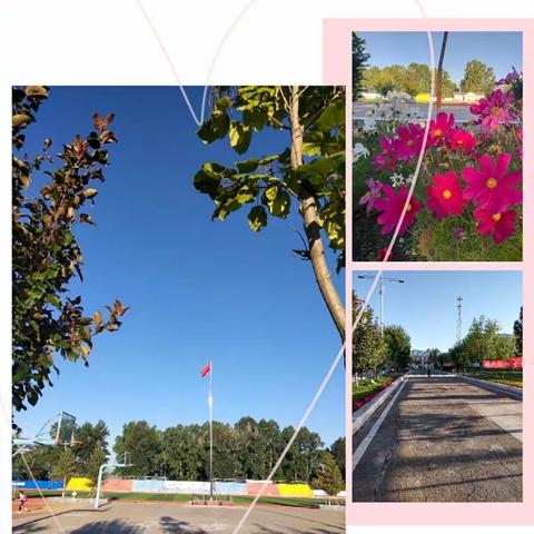 春华秋实当珍惜——致可爱的你