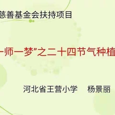 “一师一梦_二十四节课种植课”之综合篇