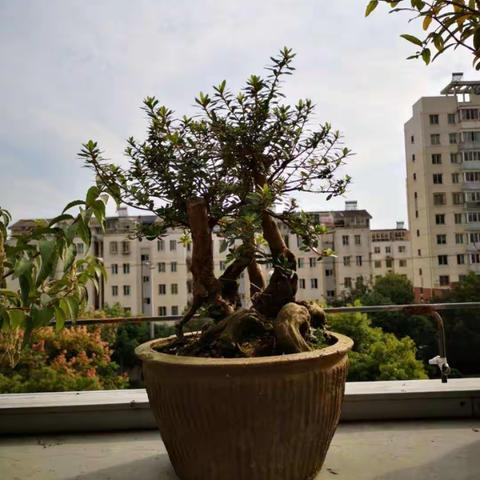 天高雲淡的美篇