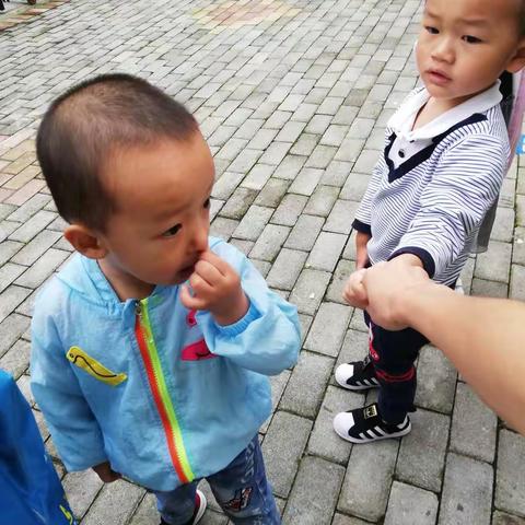 体验班入园第三天