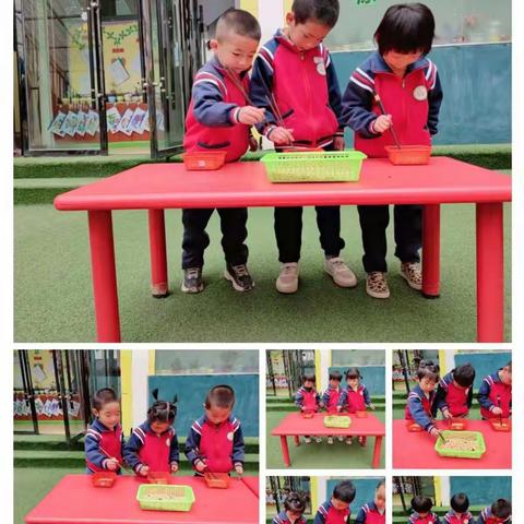 快乐如家幼儿园五月份中一班精彩剪影