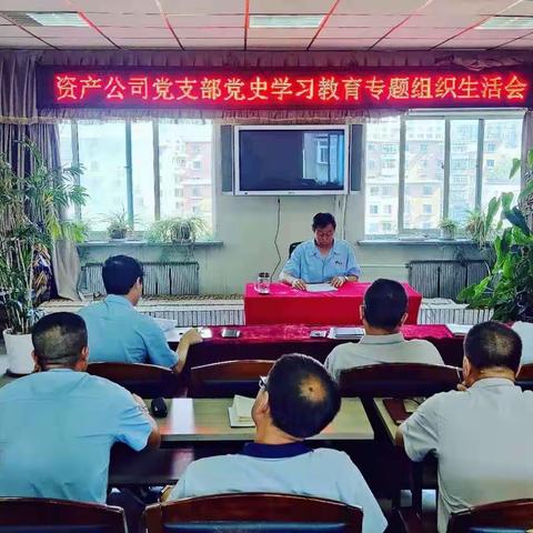 资产公司党支部召开党史学习教育专题组织生活会