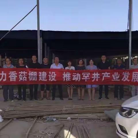 “助力发展香菇棚建设，推动罕井产业发展”主题党日活动