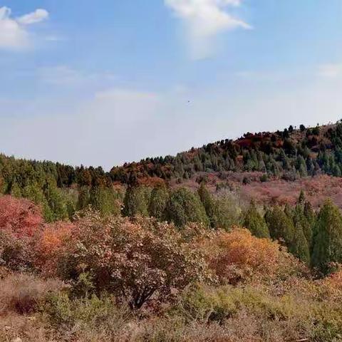 周末逛围子山