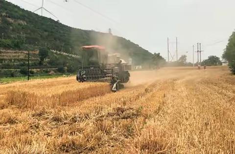 长安小麦机收会战全面告捷