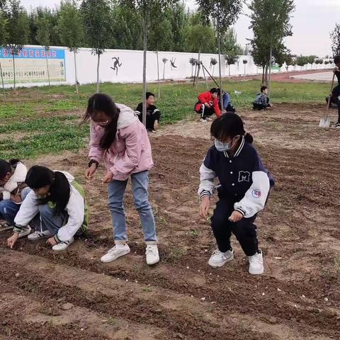 让劳动教育走进校园，在劳动中立德树人，绽放劳动之美