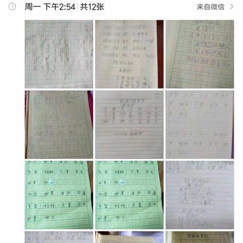 “停课不停学，共筑学习园”——邦溪中心校二（2）班学习简讯（第二期）