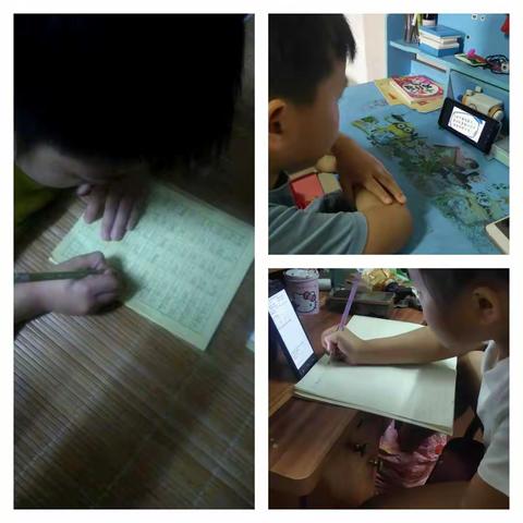 “停学不停课”——第六期学习简讯