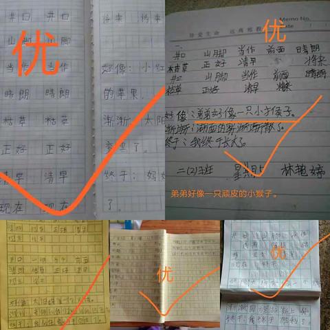 “停课不停学”，你我同行，相约网课——第三周学习简讯