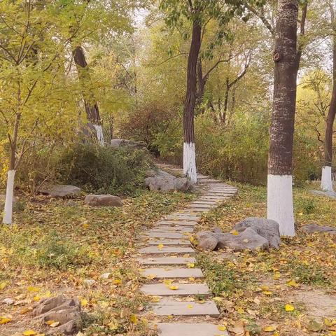 小路