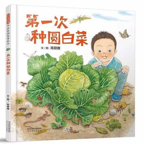 【新安县县直幼儿园】绘本分享《 第一次种圆白菜》🥬