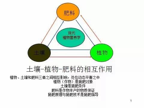 不得不知道的植物营养概念