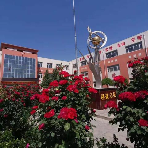 林坛中心小学告知书