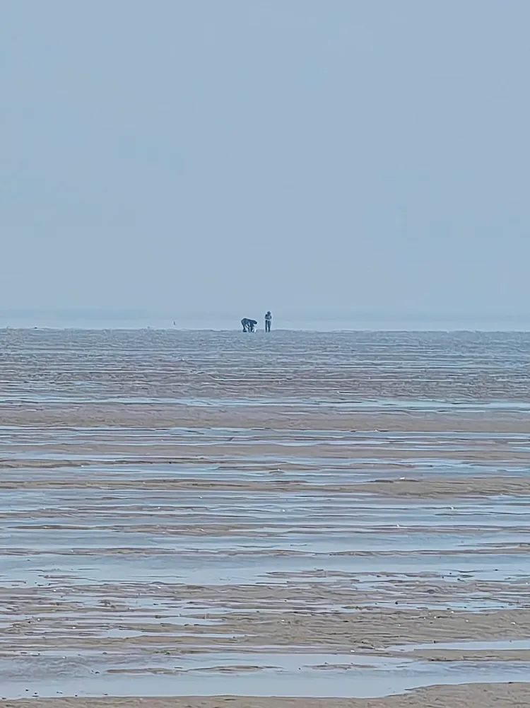 滨州海边-无棣贝壳堤🐚