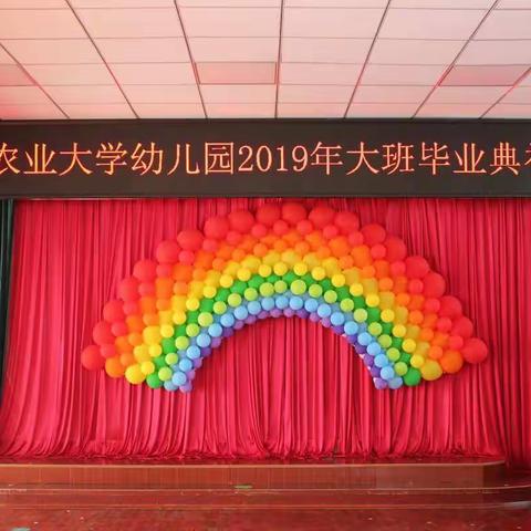 我们毕业啦——山东农业大学幼儿园2019年大班毕业典礼