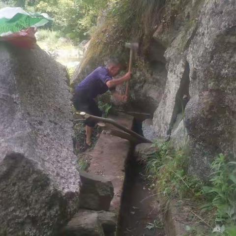 清沟沟、砌坎坎、拔草草、浇苗苗