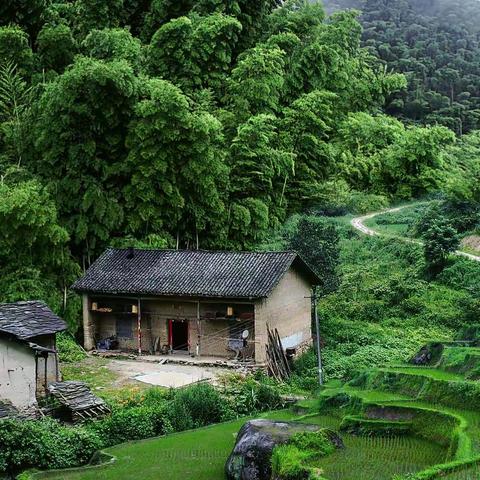 望海楼撷玉～七绝接句（二）