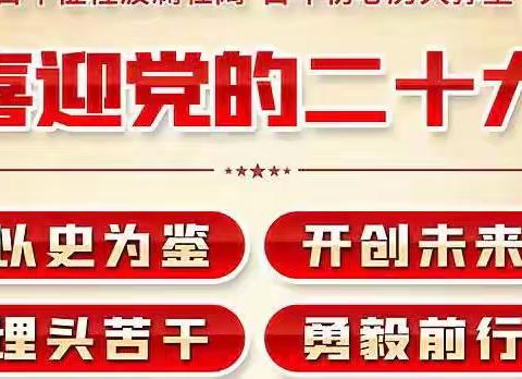 喜迎二十大
