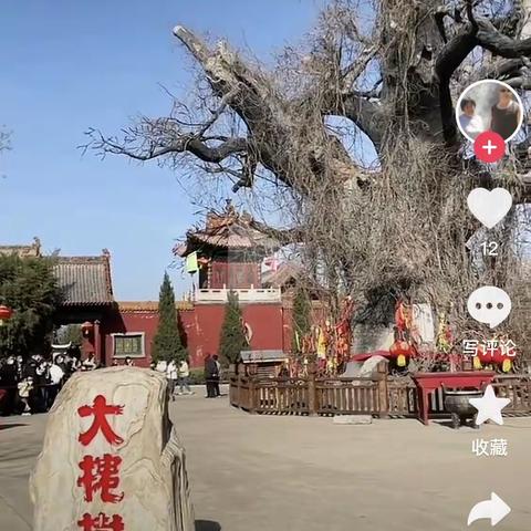天下王姓一家亲