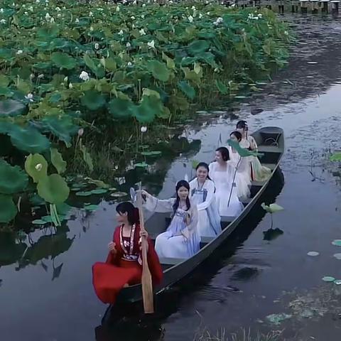 夏之韵