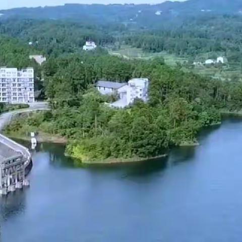 谴病毒