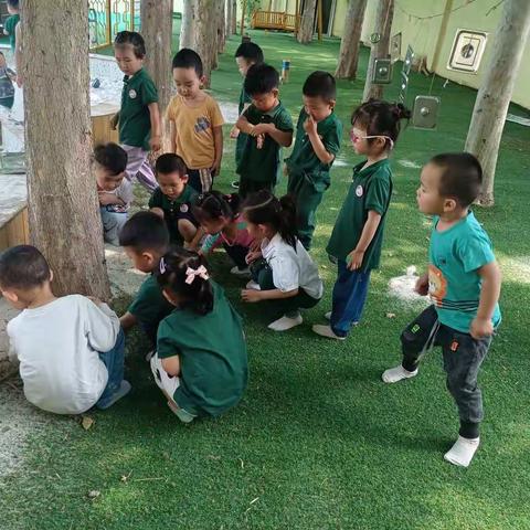 小三班与自然的交流！