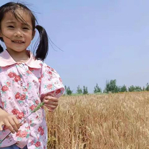 人间烟火，最抚人心！