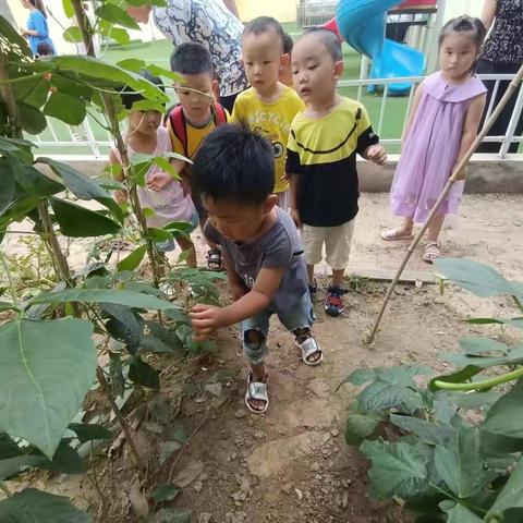 快来看看我们的《田园风光》