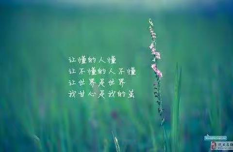 【禹州森源智慧环卫】方岗大队——工作纪实