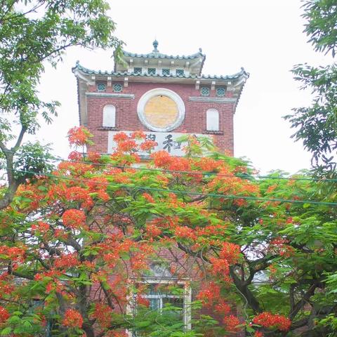 康和学校相册（五）