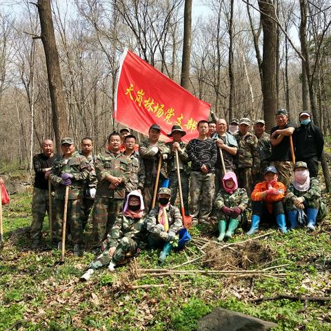 多主题共绘“绿化山川”同心圆多群体共建“生态文明”新篇章