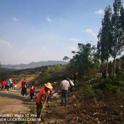 抗疫创卫共促进    共产党员走在先