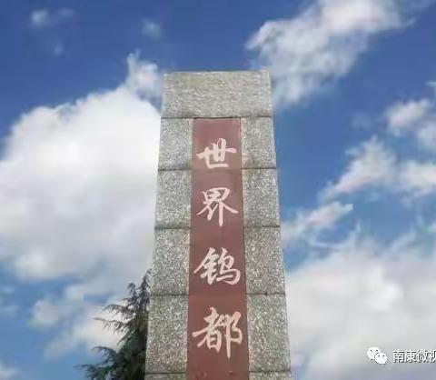 西华山之恋九—《章江潮涌浪飞舞      钨都党旗永飘扬》✌