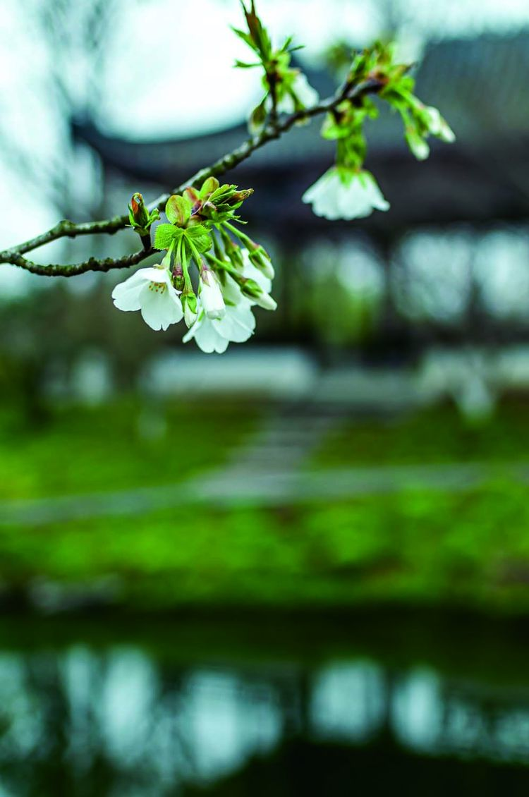 徒步春天(2021.03.12)