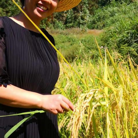 稻可道，非常稻！上清江自然农耕基地邀您自然农耕！