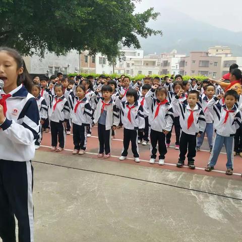 〔宝山希望小学〕宝山希望小学一年级新生入队仪式简报