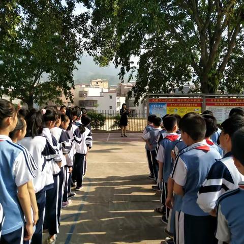 〔宝山希望小学〕遵规守纪，文明出行