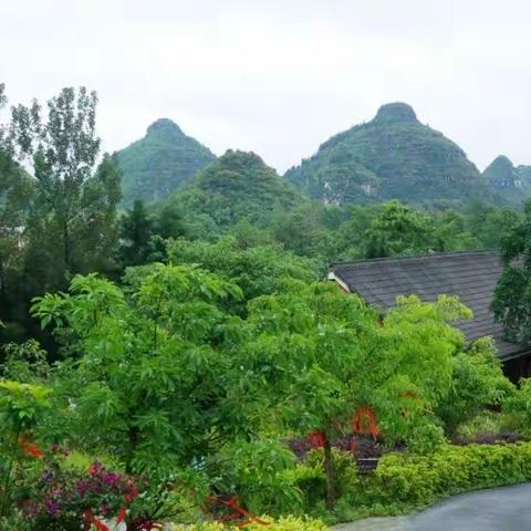 安紫旅游代表团游览贞丰双乳峰景区